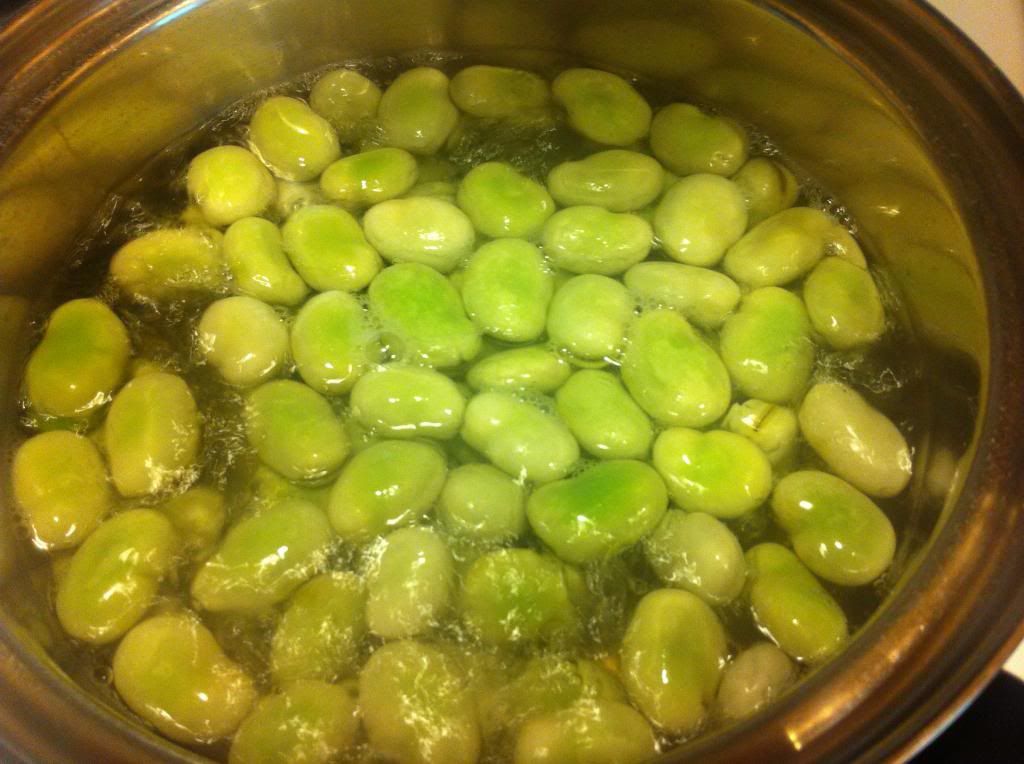 Read This / Eat That Fava Bean and Zucchini Soup